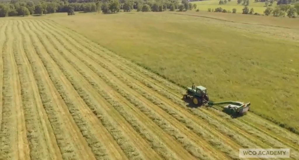 Agricultura e Agroalimentar